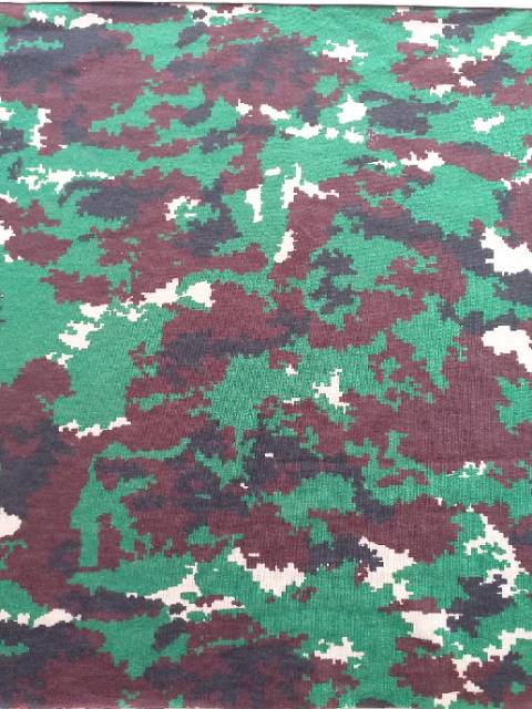 Detail Background Loreng Nkri Nomer 2