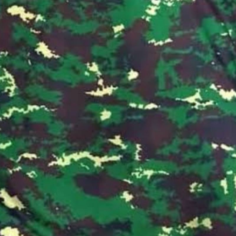 Detail Background Loreng Nkri Nomer 18