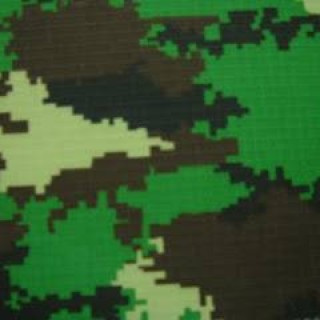 Detail Background Loreng Nkri Nomer 3