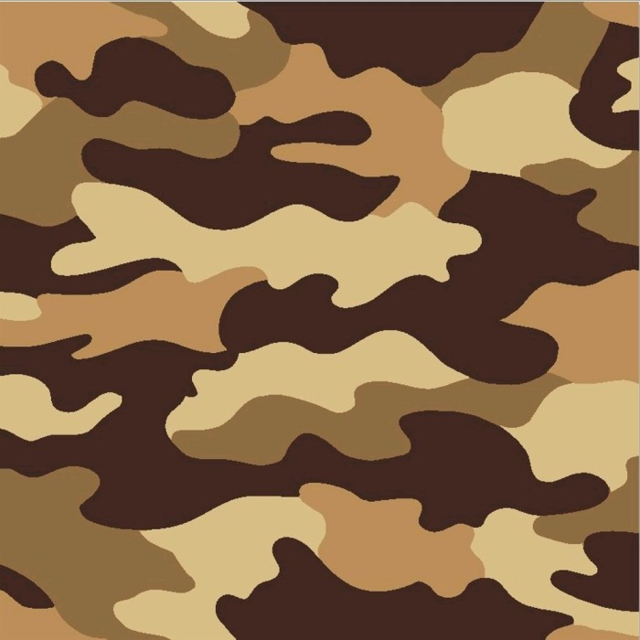 Detail Background Loreng Nkri Nomer 28