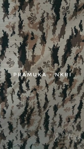Detail Background Loreng Nkri Nomer 31