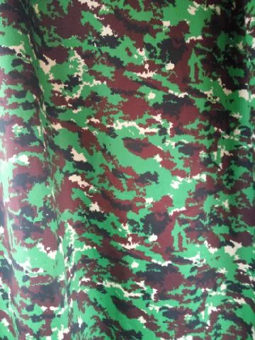 Detail Background Loreng Nkri Nomer 34