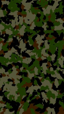 Detail Background Loreng Nkri Nomer 48