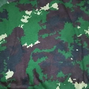 Detail Background Loreng Nkri Nomer 6