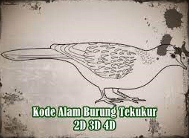 Detail Burung Perkutut Togel Nomer 37