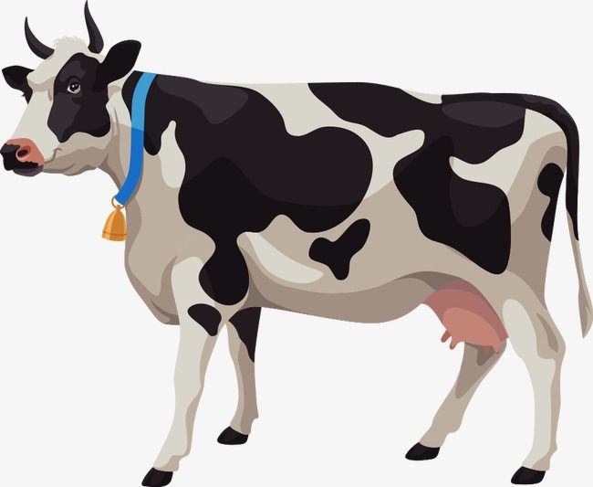 Detail Cow Clip Art Nomer 13