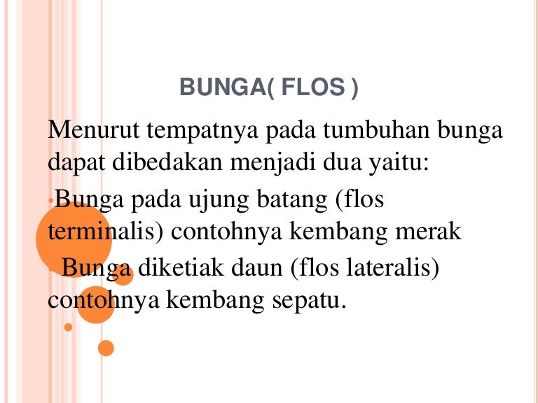 Detail Css Pita Disudut Gambar Di Blog Nomer 21