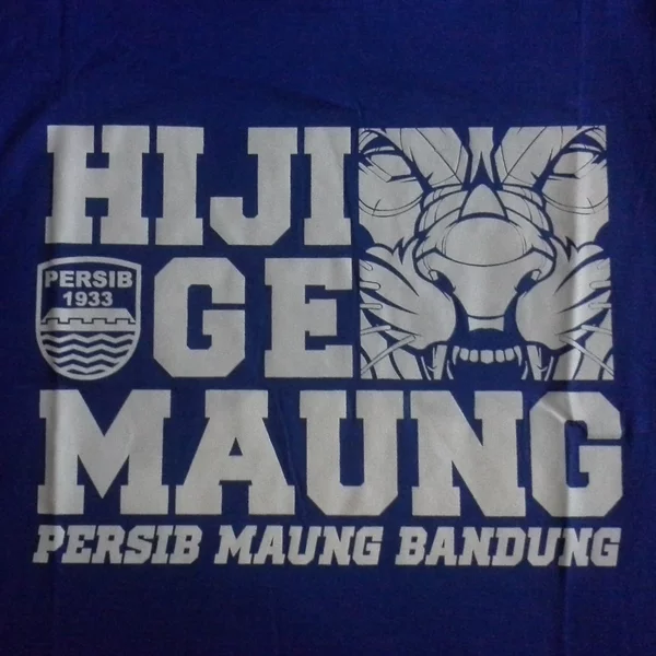 Detail Dudel Persib Nomer 28