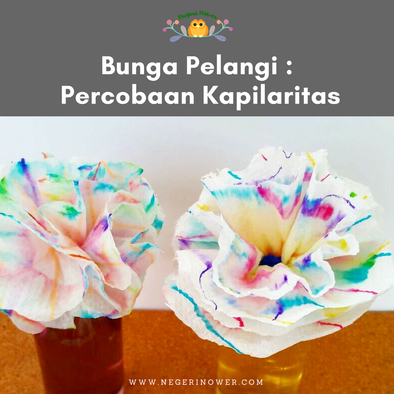 Detail Gambar Bunga Di Kertas Pelangi Nomer 35