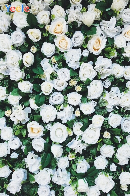 Detail Gambar Bunga Mawar Putih Basah Nomer 49