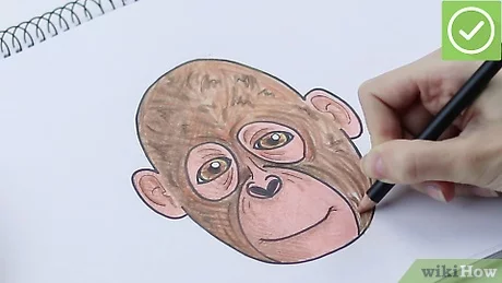 Detail Gambar Mewarnai Monyet Kartun Nomer 41