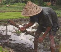 Detail Gambar Petani Bawa Cangkul Nomer 30