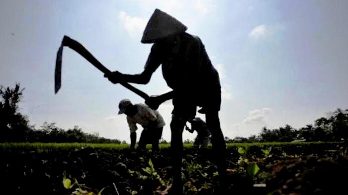 Detail Gambar Petani Bawa Cangkul Nomer 36