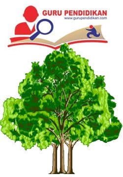 Detail Gambar Pohon Jati Psikotes Nomer 48