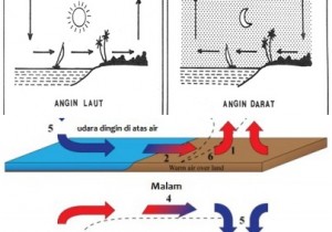 Detail Gambarkan Arus Konveksi Nomer 44