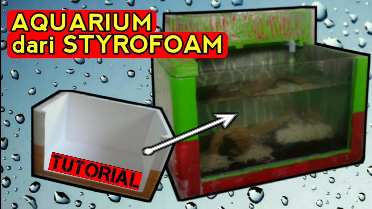 Detail Membuat Aquarium Dari Styrofoam Nomer 11