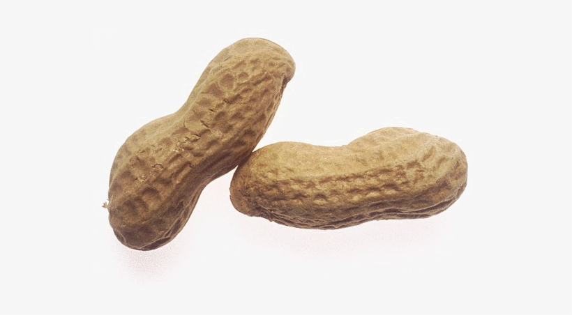 Detail Peanut Transparent Background Nomer 2