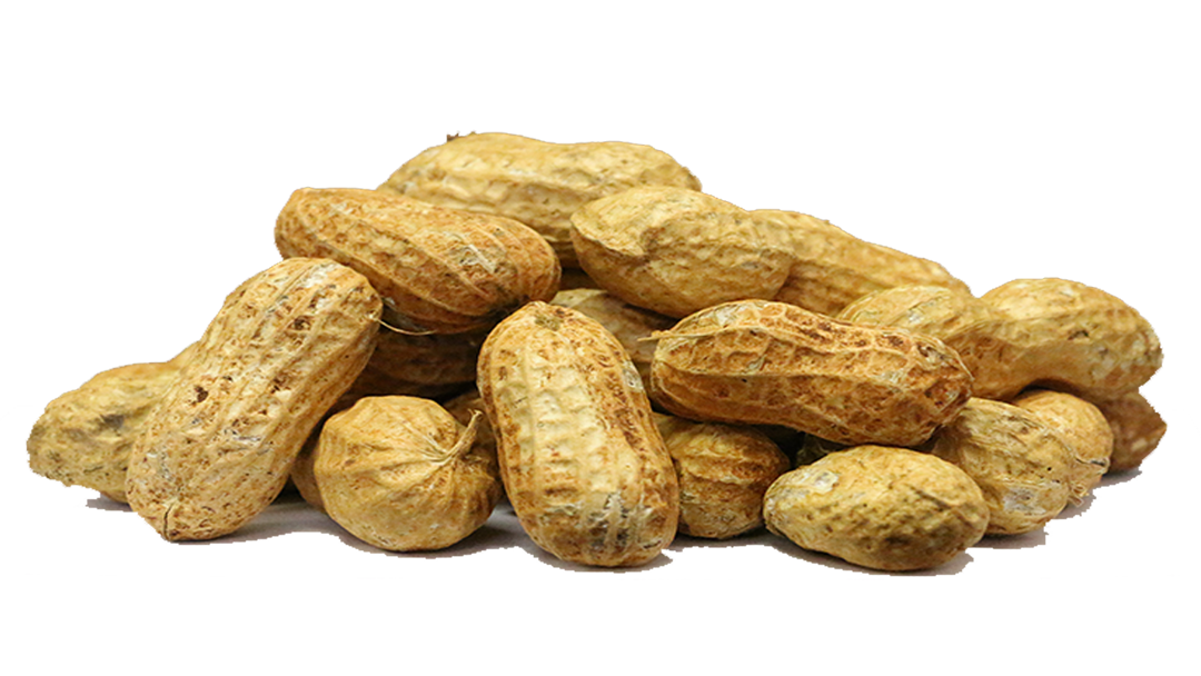 Detail Peanut Transparent Background Nomer 11