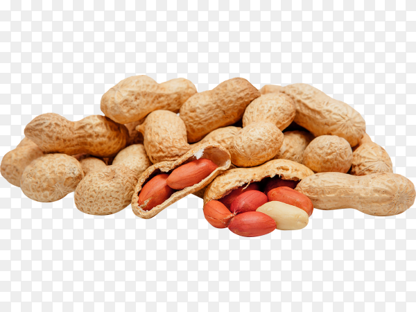 Detail Peanut Transparent Background Nomer 13