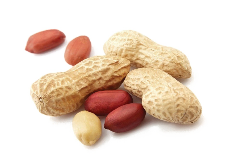 Detail Peanut Transparent Background Nomer 14