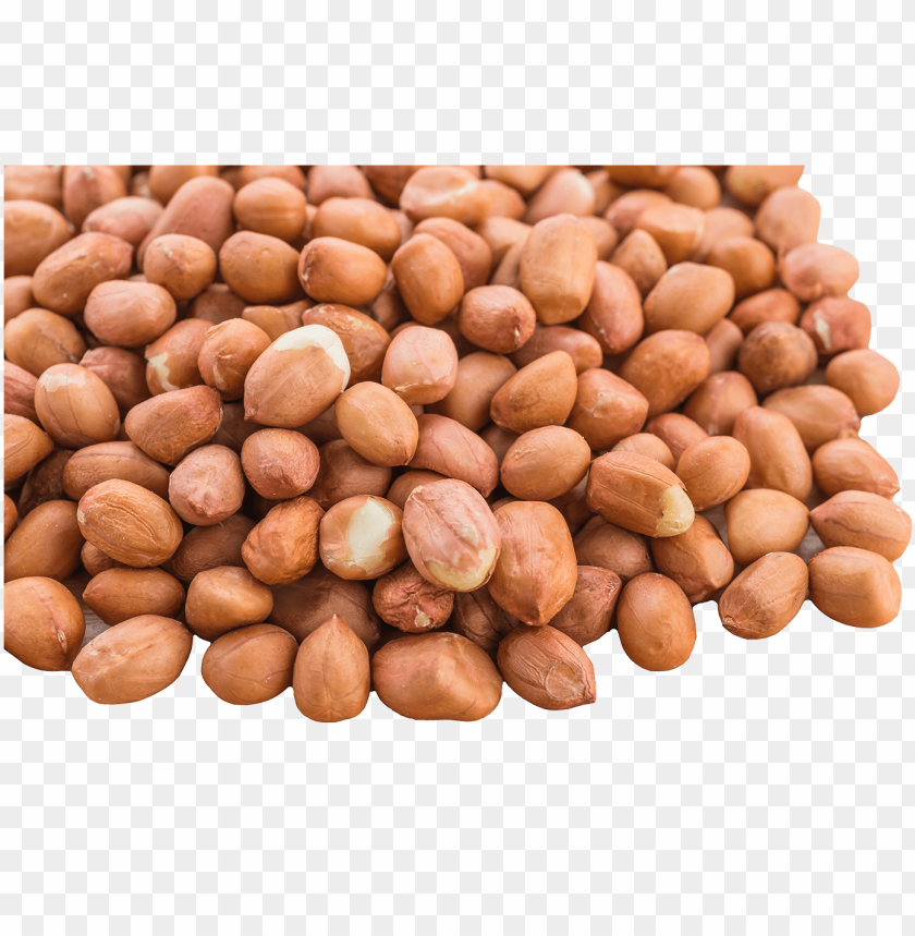 Detail Peanut Transparent Background Nomer 22