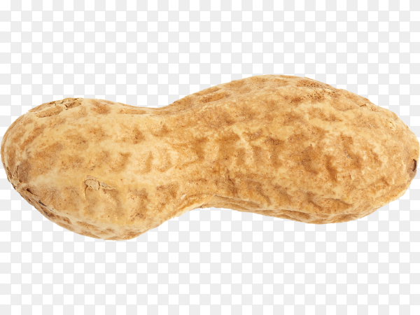 Detail Peanut Transparent Background Nomer 3