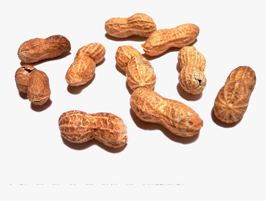 Detail Peanut Transparent Background Nomer 36