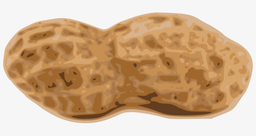 Detail Peanut Transparent Background Nomer 37