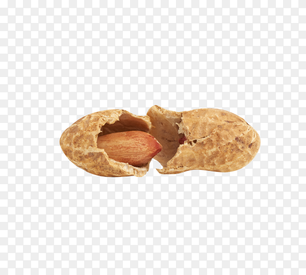 Detail Peanut Transparent Background Nomer 40