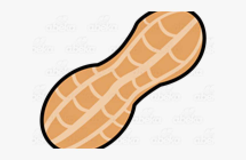 Detail Peanut Transparent Background Nomer 45