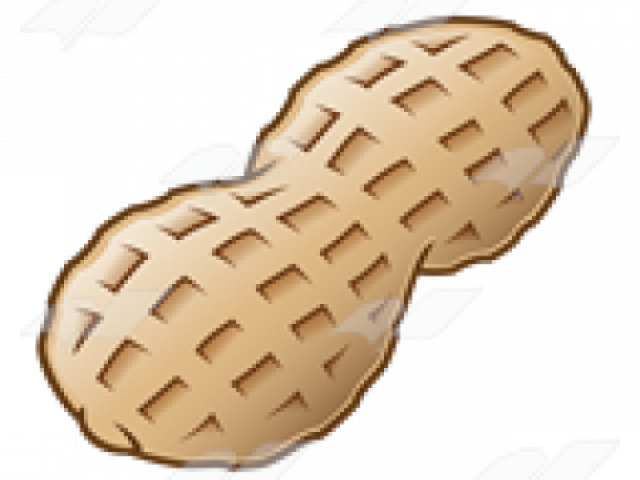 Detail Peanut Transparent Background Nomer 48