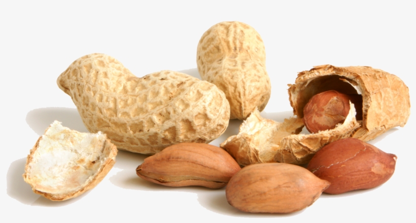 Detail Peanut Transparent Background Nomer 5