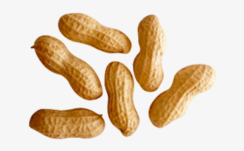 Detail Peanut Transparent Background Nomer 6