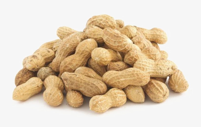 Detail Peanut Transparent Background Nomer 7