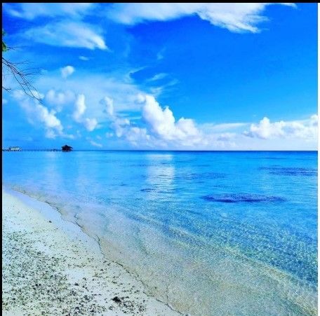 Download Pemandangan Pantai Tercantik Nomer 24