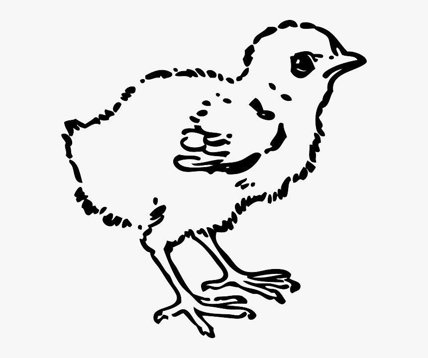 Detail Bird Black And White Clipart Nomer 31