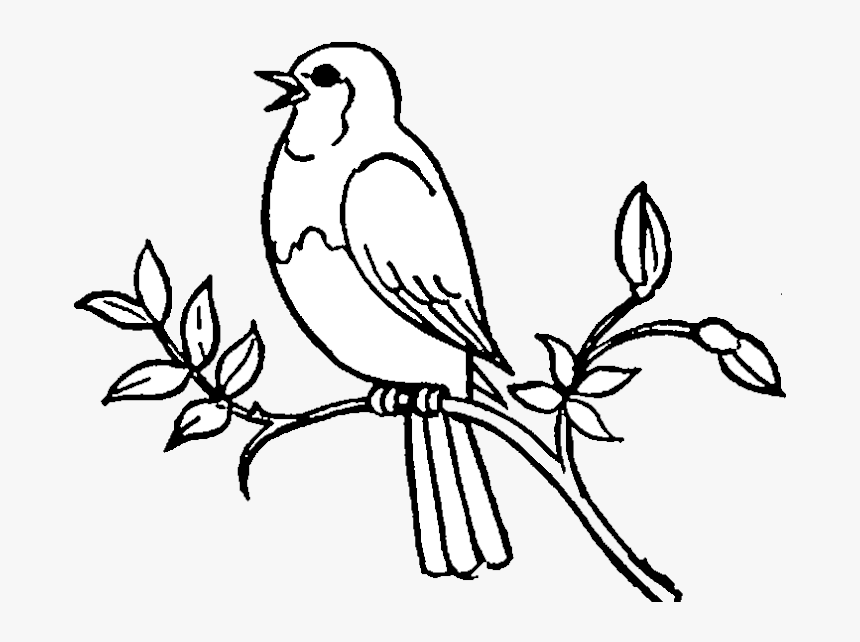 Detail Bird Black And White Clipart Nomer 9