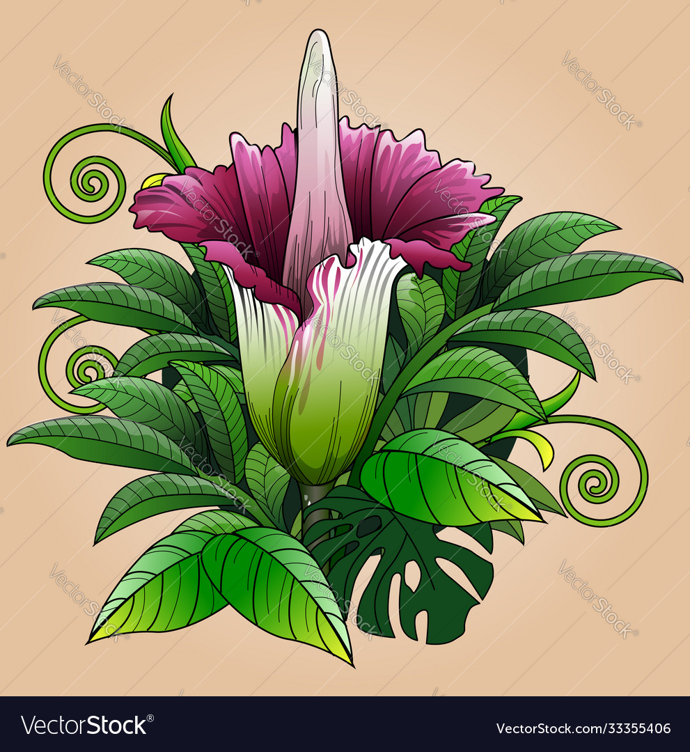 Detail Bunga Vector Nomer 20