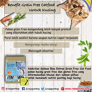 Detail Free Cat Pic Nomer 25