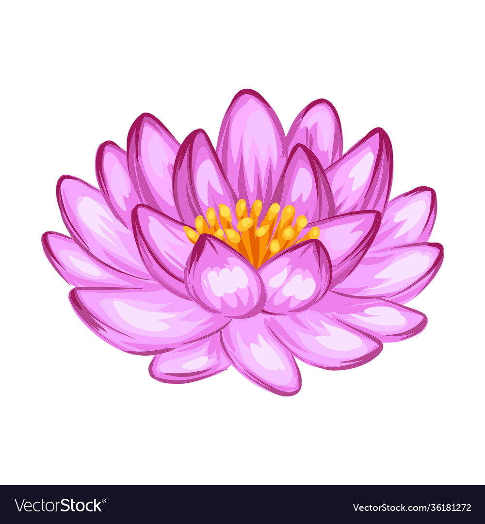 Detail Free Lotus Flower Images Nomer 15