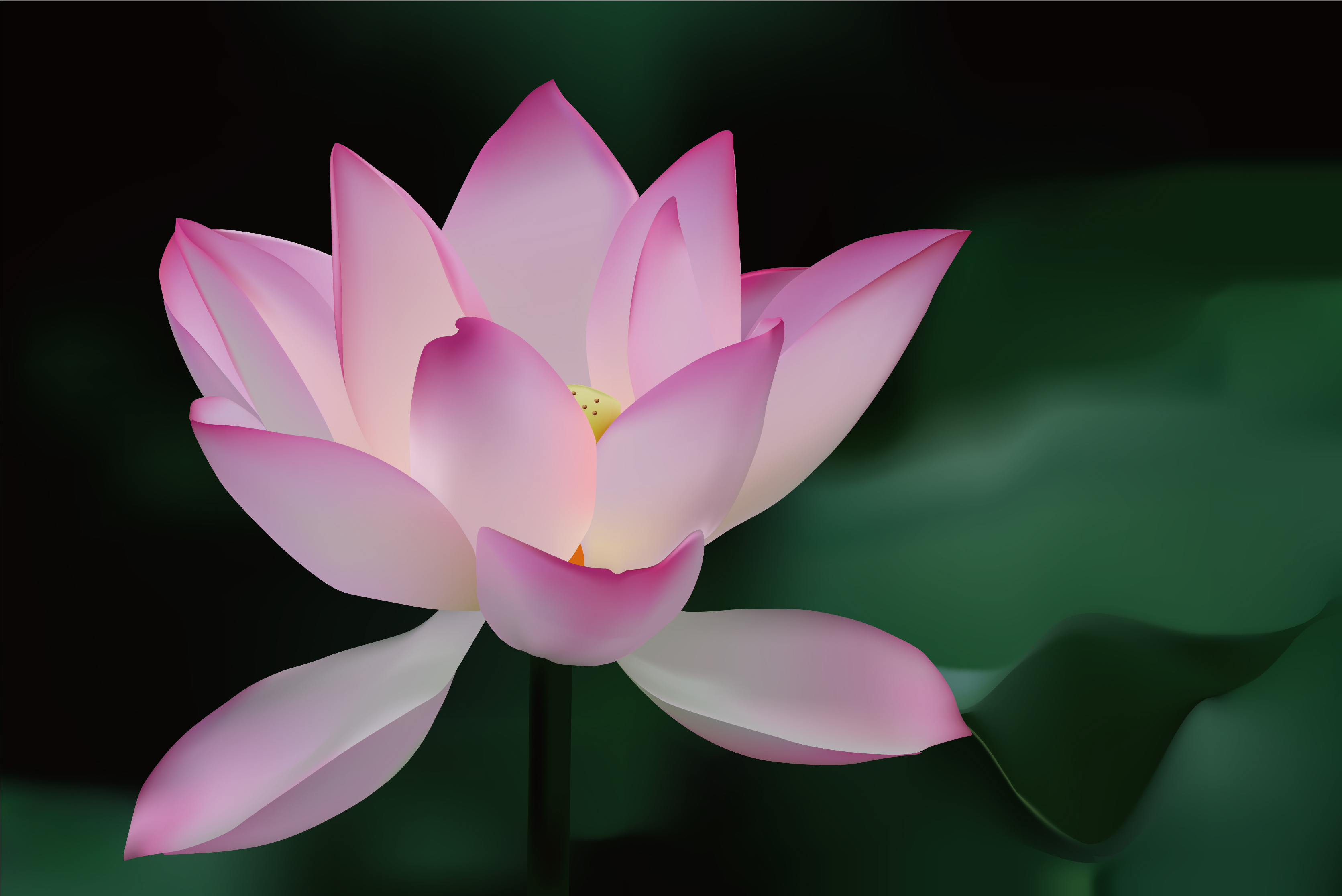 Detail Free Lotus Flower Images Nomer 24