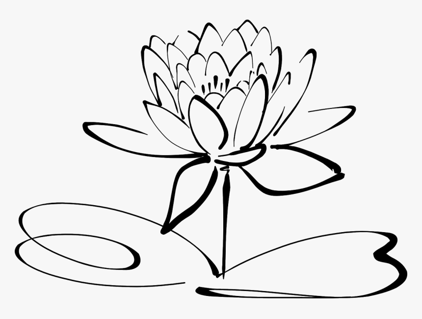 Detail Free Lotus Flower Images Nomer 50