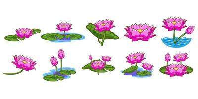 Detail Free Lotus Flower Vector Nomer 15