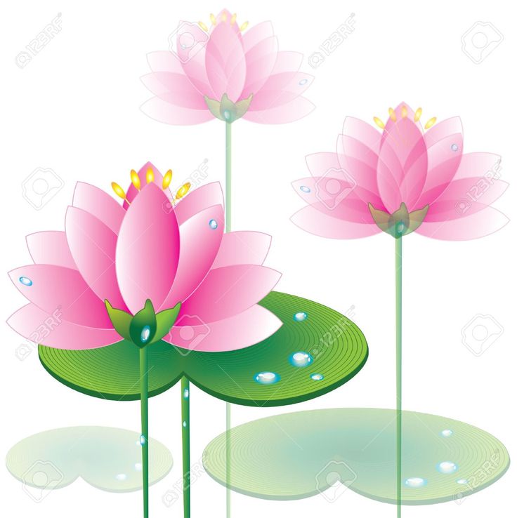 Detail Free Lotus Flower Vector Nomer 34