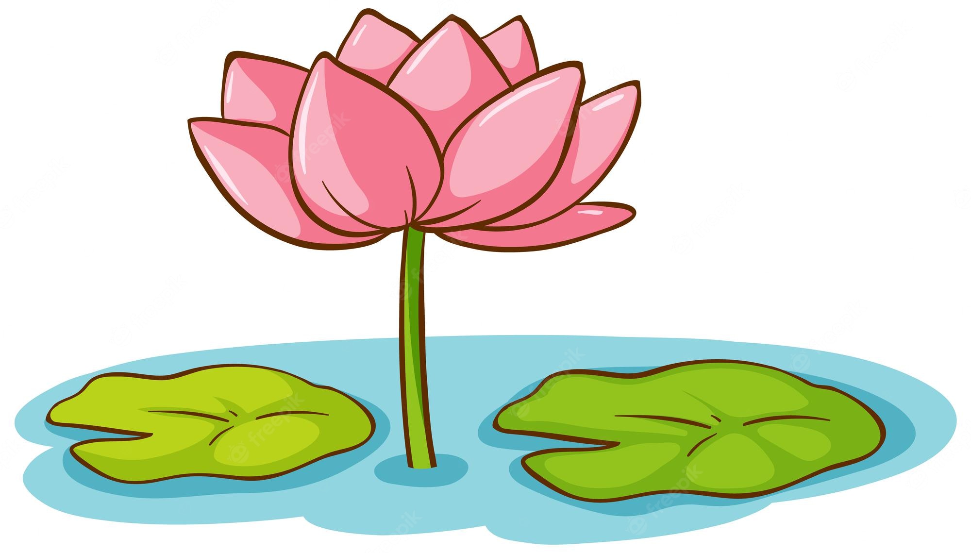 Detail Free Lotus Flower Vector Nomer 9