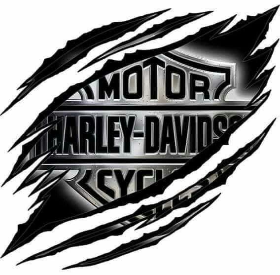 Detail Images Of Harley Davidson Logo Nomer 5