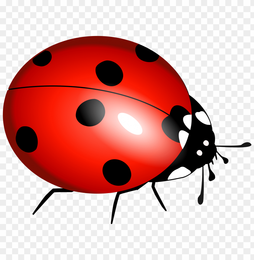 Ladybug Clipart Transparent Background - KibrisPDR