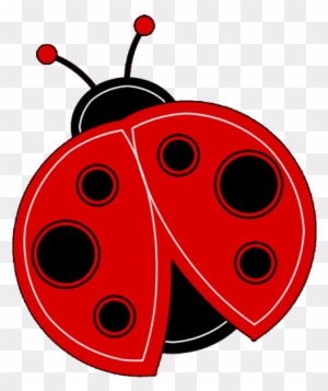 Detail Ladybug Clipart Transparent Background Nomer 8