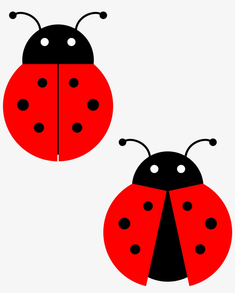 Detail Ladybug Clipart Transparent Background Nomer 14