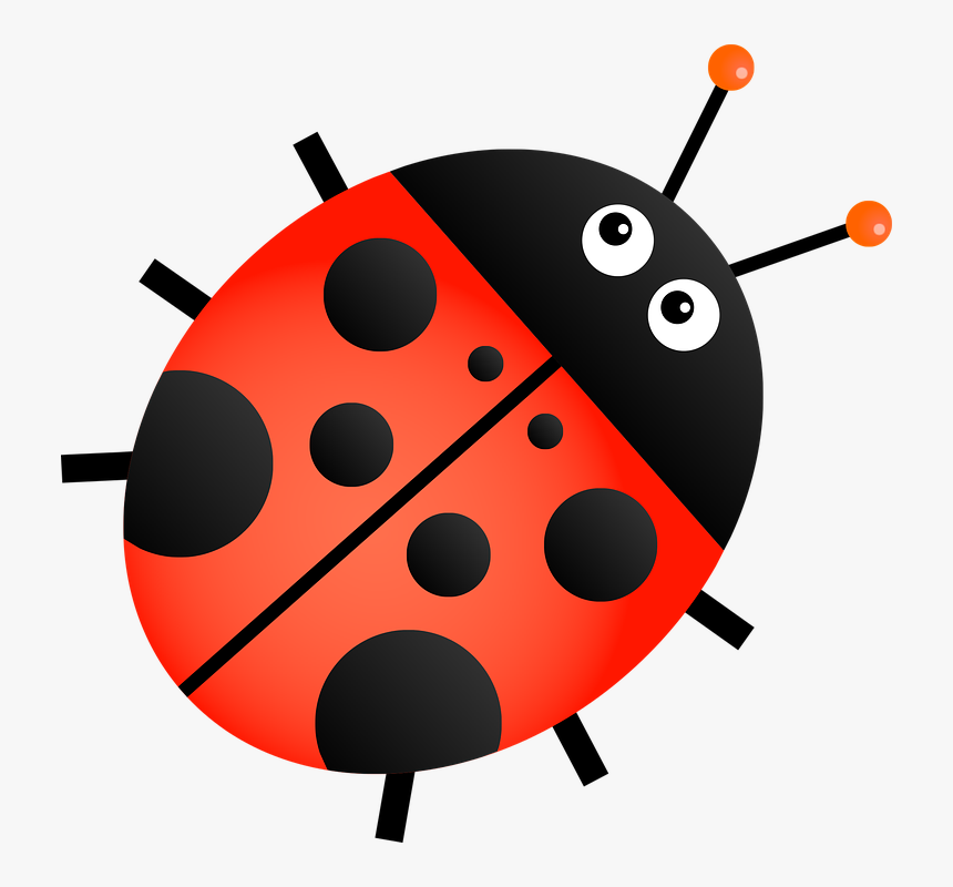 Detail Ladybug Clipart Transparent Background Nomer 4